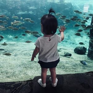 Meet your Posher, Danielle